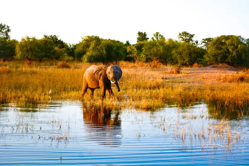 Wildlife Safaris & Lakes