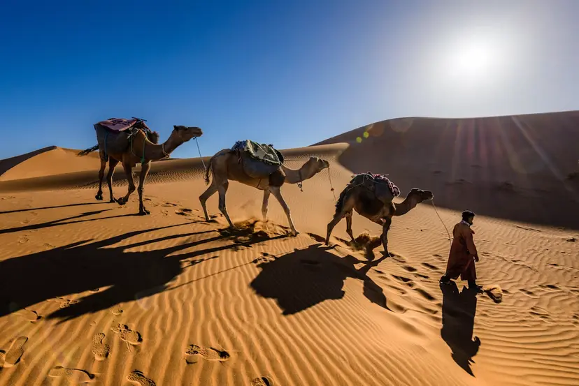 Thar Desert Safari & Jaisalmer Fort Tour